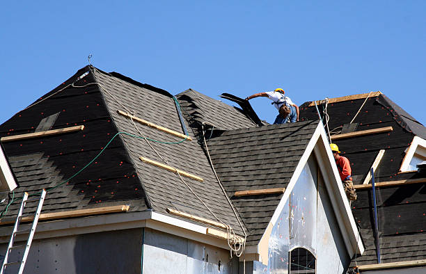 Best Roof Gutter Cleaning  in Munford, AL