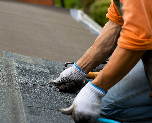 Best Storm Damage Roof Repair  in Munford, AL