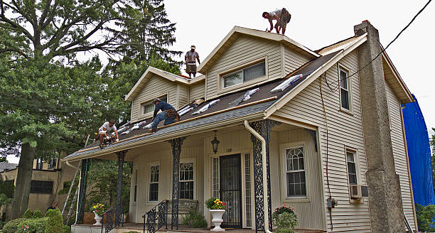 Best Roof Repair Services  in Munford, AL